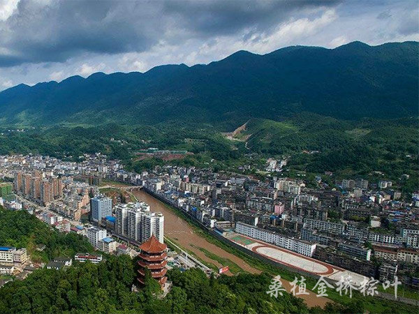 桑植縣