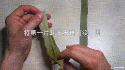 桑植金橋粽葉收購,桑植金橋粽葉加工,桑植金橋粽葉銷售,桑植金橋粽葉