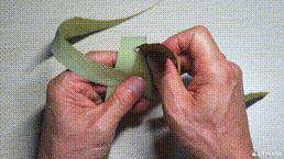 桑植金橋粽葉收購,桑植金橋粽葉加工,桑植金橋粽葉銷售,桑植金橋粽葉