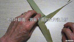 桑植金橋粽葉收購,桑植金橋粽葉加工,桑植金橋粽葉銷售,桑植金橋粽葉
