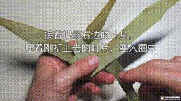 桑植金橋粽葉收購,桑植金橋粽葉加工,桑植金橋粽葉銷售,桑植金橋粽葉